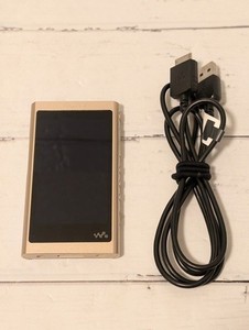 Sony Nw A55 Walkman | eBay
