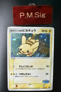 Pokepark Pikachu | eBay