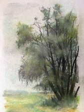 ::FRANZ EHMKE 1928 - 2018 BERLIN PASTELL ALLEIN STEHENDER BAUM AUF FELD