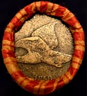 Lincoln Wheat Penny Roll 50 PDS ~1858 Flying Eagle Indian Head/1909VDB-AU+~ Ends