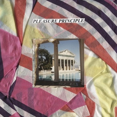 PLEASURE PRINCIPLE Pleasure Principle Music CDs New