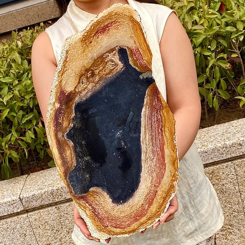 5.31LB Natural Woodcut Stone Slices - Unique Pattern Collection Grade - 第 10/13 張圖片
