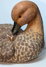 Herco Professional Gift Northern Pintail Hen Shades of Brown with Rust Accents