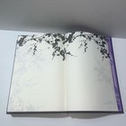 Picture 11 of 22