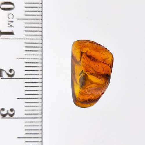 Amber fossil natural polished gemstone w/ trapped insect inclusion 4.7ct - Picture 9 of 9