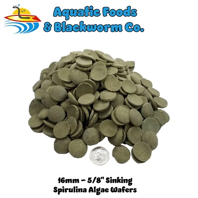 Sinking Wafers of Spirulina & Algae. Shrimp, Plecos, Catfish. Zeigler Style AFI