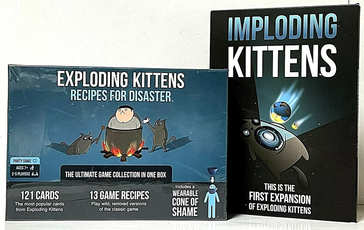 Should You Get Exploding Kittens OR Recipes For Disaster? 