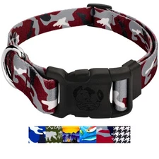 Country Brook Petz® Deluxe Dog Collar - Sports and Athletics Collection - U.S.A.