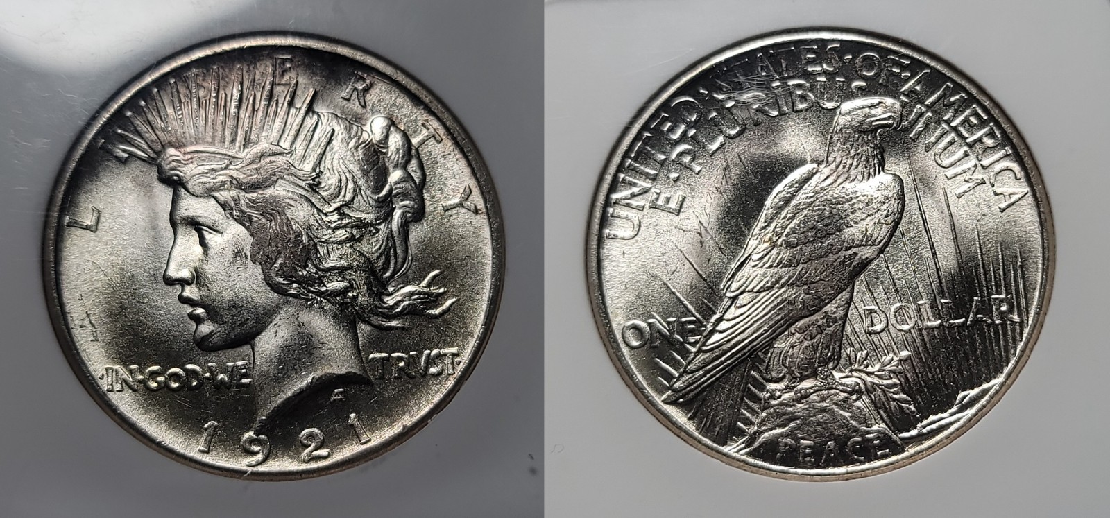 1921 $1 High Relief, Peace MS66 NGC