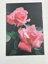 Vintage Get Well Soon Greeting Card Pink Roses Sunshine Card USA Made