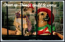 Postcard Cheer up-Things could be worse   J86