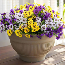 18 Bundles Artificial Pansy Flowers   UV Resistant Faux Silk for Outdoor Planter