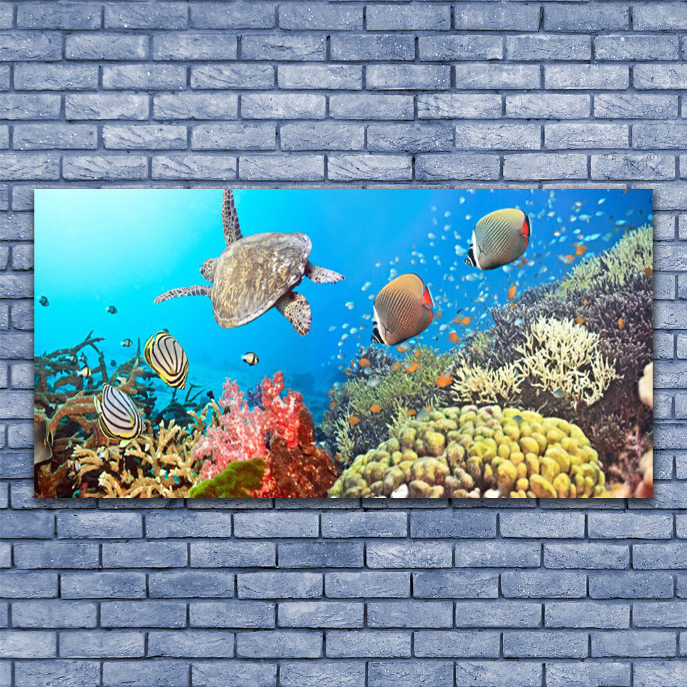Tableau récif de corail 140x70 cm pour habiller un grand mur vide de salon