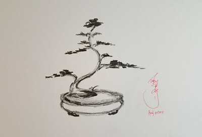 100% Original print sketch pencil drawing Bonsai tree Juniper by OK artist  KONG2 | eBay
