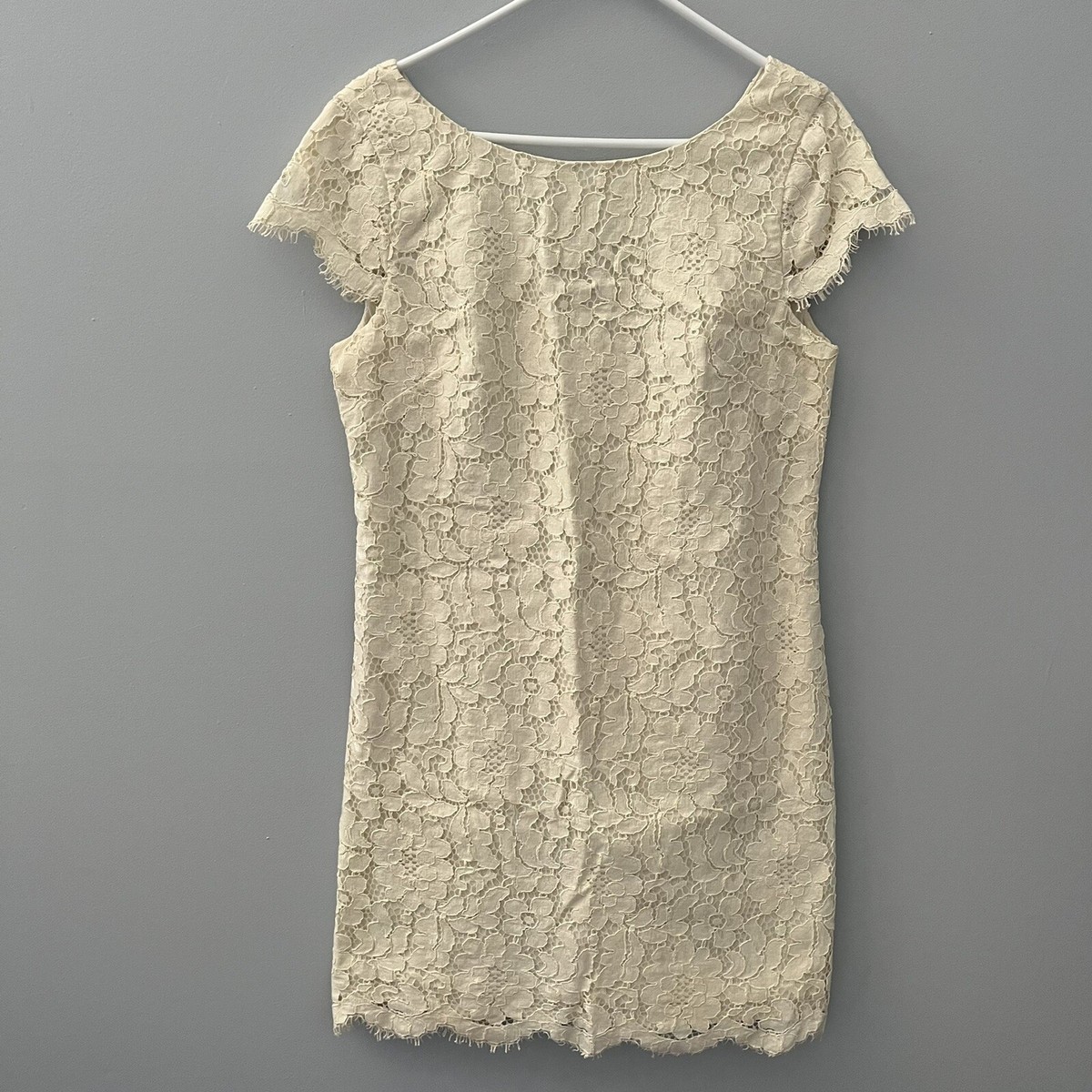 Eliza J Dress Womens 10 Ivory Lace Overlay Lined Shift Floral Summer Cap  Sleeve