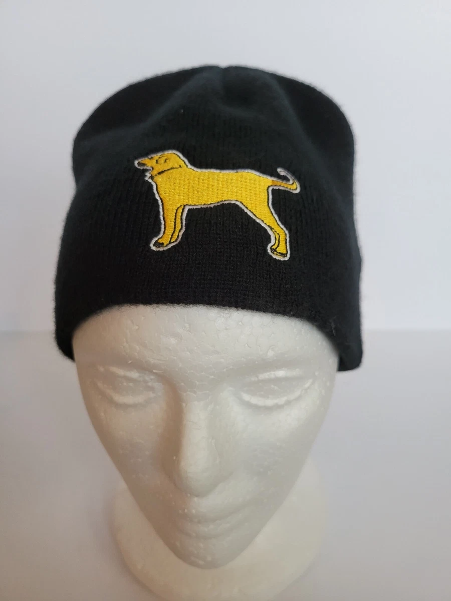 Black dog bruins clearance hat