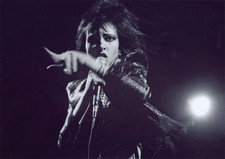 SIOUXSIE AND THE BANSHEES PUNK FESTIVAL B/W NEW POSTER.