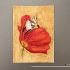 ACEO Original Bumblebee Insect Bug Flower Mini Watercolor By Janelle Aquino