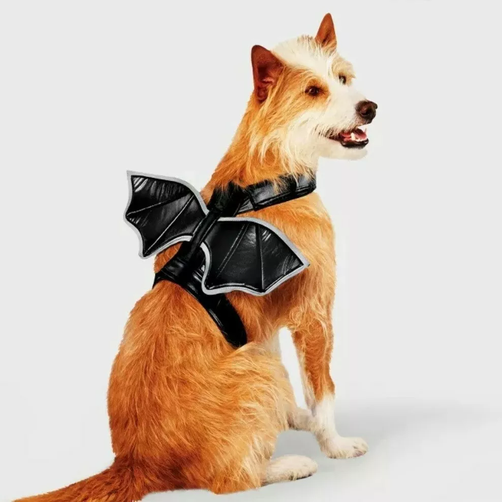 Bat wing clearance harness for dogs