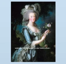 Marie Antoinette with a Rose PHOTO Art Print of 1783 Painting, Queen of France