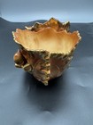 Autumn Leaf Candy Dish Enesco Japan Gold Trim Leaves & Acorns 1950-60s — photo 7