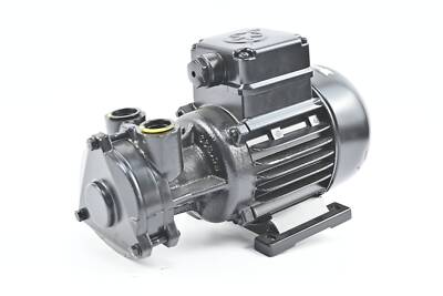 Brinkmann Kleinkreiselpumpe KC35+001 ( 2l/min )