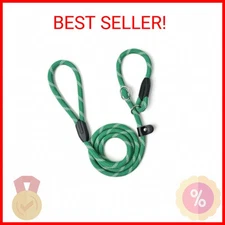 WePet Dog Training Slip Leash, No Pull, Durable Reflective Lead, Puppy Heavy Dut