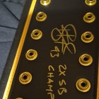 Aumua Polamalu Pittsburgh Steelers Super Bowl XLIII Championship Belt — photo 2