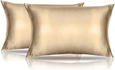 2 Pack Silk Satin Toddler Pillowcases 14x20 Inch Cushion Covers for Nursery Kids
