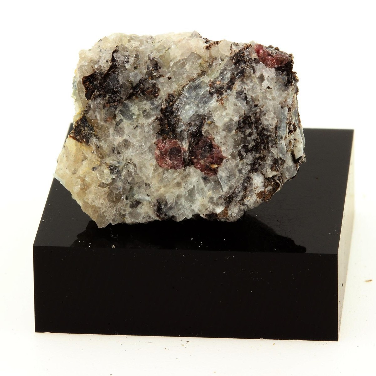 GARNET actof tragedySugar SINA殊Moran il_fullxfull.5874391804_blaw.jpg