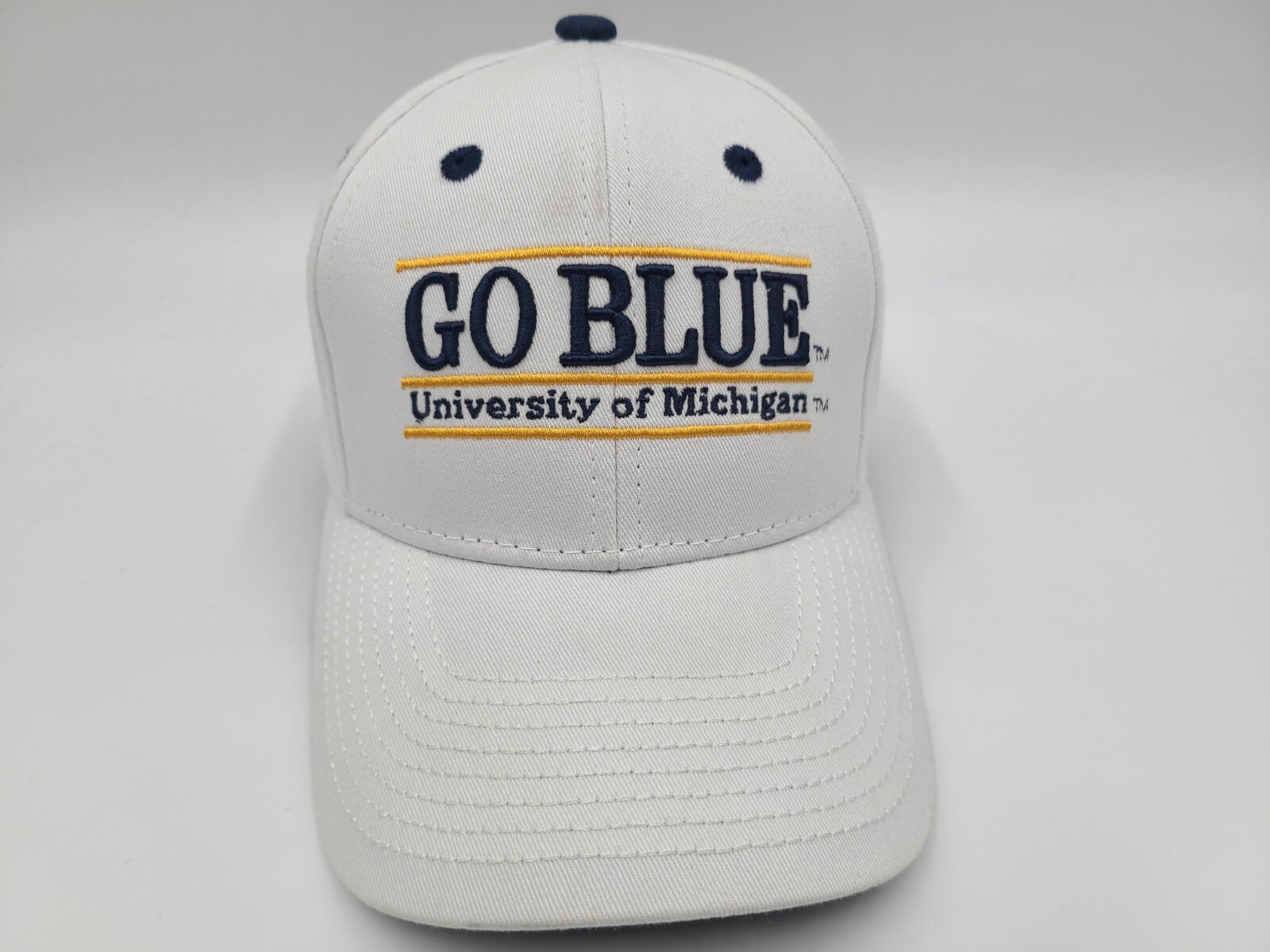 University of Michigan Wolverines 