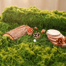 Fake Moss Rug Artificial Moss 19.7" X 39.4" Faux Moss for Crafts like Fairy Gard