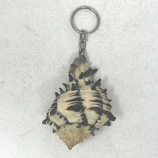 Vintage Conch Shell Keychain Key Chain Ring USA Collector Beach Sand Grannycore