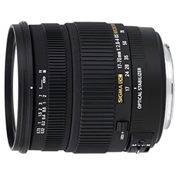 Used  Sigma 17 70mm F2.8 4 DC MACRO OS HSM for Sony