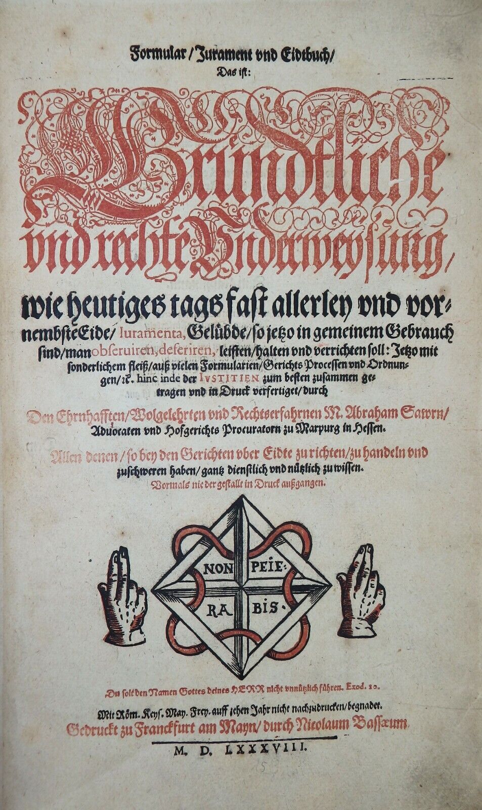 Foto 1 di 13