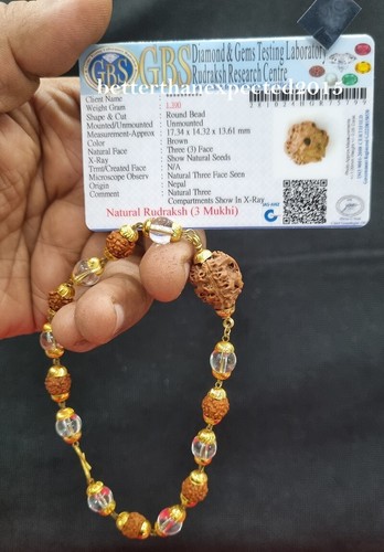 3 MUKHI (GESICHT) RUDRAKSHA RUDRAKSH ARMBAND MIT 5 MUKHI RUDRAKSH -LABOR ZERTIFIZIERT - Bild 2 von 5