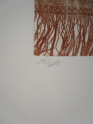 KRISTEN OLSEN Original Etching, Ribbon Nexus 3, Signed #d - Picture 6 of 6