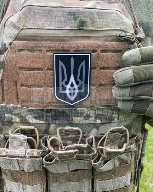 Ukrainian Chameleon Freedom Patch💛💙