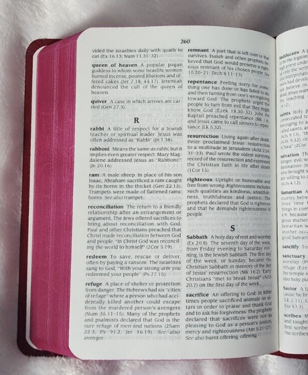 Bild 11 von 15