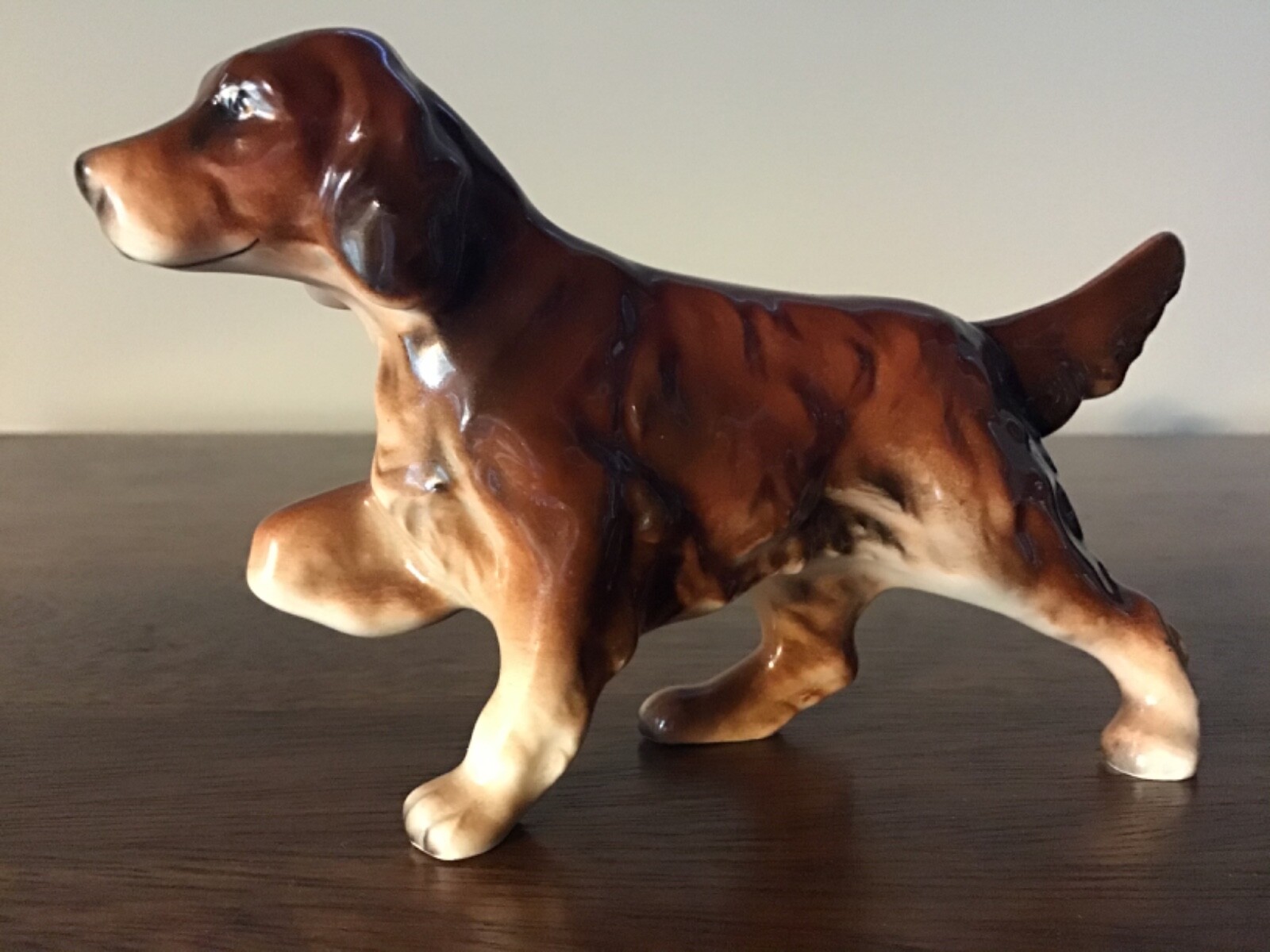 irish setter pointing