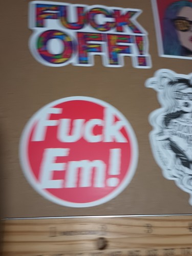 F YOU Aufkleber Set Erwachsene Humor F**K Em F**K Off Skateboard Handy Laptop Helm PC - Bild 2 von 6