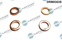 Dr.Motor Automotive DRM0363S Dichtungssatz, Lader FüR CitroËN Ds Ford Mazda
