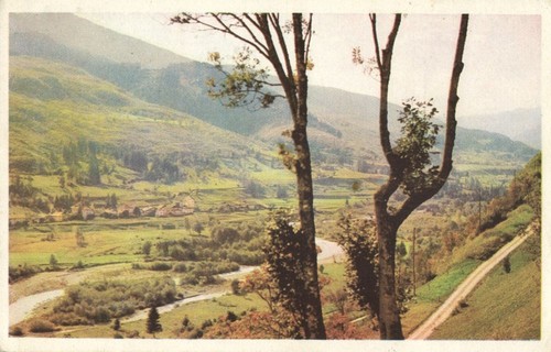 Zypern, Landschaft (1956) Postkarte - Bild 2 von 3
