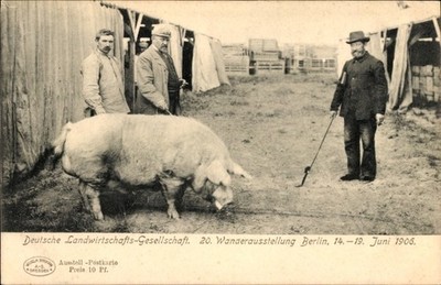 Ak Berlin, Deutsche Landwirtschafts Gesellschaft, 20.... - 4379751