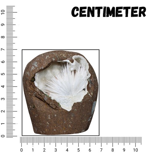 Scolecite Spray Flower on Apophyllite | Quartz Geode & Amethyst Crystal 150g - Picture 4 of 13