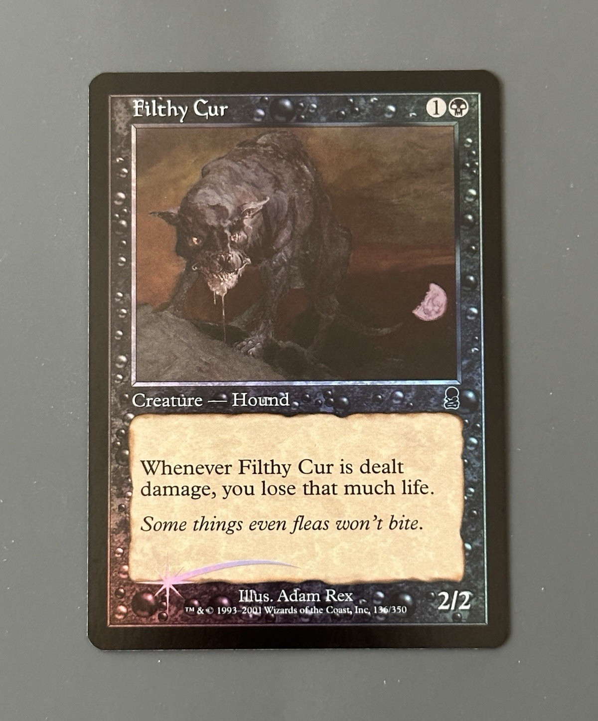 Wizards of the Coast MTG Filthy Cur Odyssey 136/350 Common FOIL English 2001