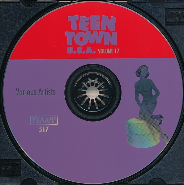 Various - Teen Town U.S.A. Volume 17 (CD, Comp) (Very Good Plus