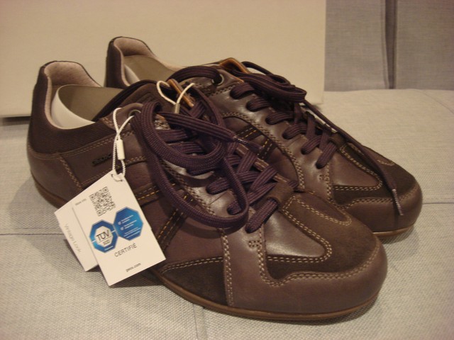 geox shoes brand