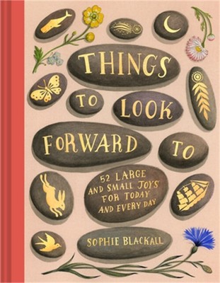 Things to Look Forward to (Hardback or Cased Book)