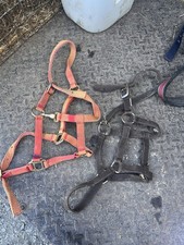 Small pony Headcollars X 2